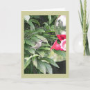 Search for humming cards Bird