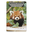 Search for cute panda clipboards Animal