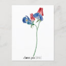 Search for sweet peas postcards April