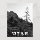 Search for lone tree Photography