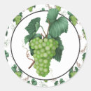 Search for green grapes stickers Food