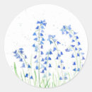 Search for bluebell stickers Nature