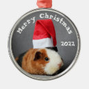 Search for guinea pig christmas tree decorations Rodent