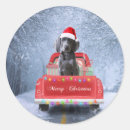 Search for weimaraner dog stickers Pet
