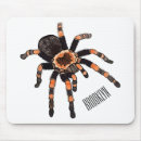 Search for invertebrate mouse mats Insect