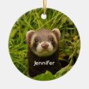 Search for pet ferret christmas tree decorations Funny