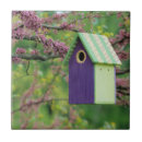 Search for avian tiles Green