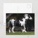 Search for gypsy vanners postcards Black and white