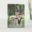 Search for opposite cards Humour