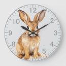 Search for hare clocks Nature