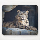 Search for snow leopard mouse mats Nature
