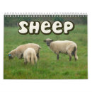 Search for lamb calendars Wool