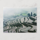 Search for cropland postcards Agriculture