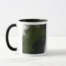 Search for satellite mugs True colour