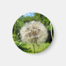 Search for flora magnets Plant