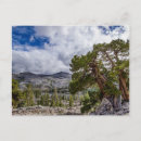 Search for sierra postcards City