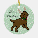 Search for chocolate labrador christmas tree decorations Retriever