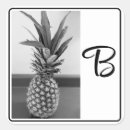 Search for pineapple print stickers Black and white