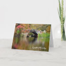 Search for water falls cards Bridge