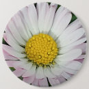 Search for pretty daisy badges Nature