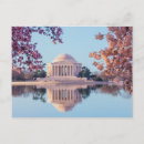 Search for a basin cards Cherry blossoms