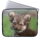 Search for longhair electronics Puppy