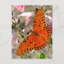 Search for mouse pad postcards Pink