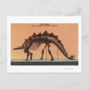 Search for natural history museum postcards Colorado