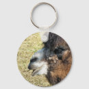 Search for camel key rings Cute