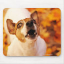 Search for barking mouse mats Dog