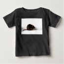 Search for cute rat baby clothes Animal