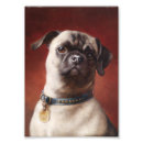 Search for mops Pet