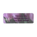 Search for purple tulip return address labels Flowers