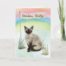 Search for cat rainbow bridge cards Pet