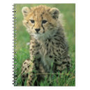 Search for cheetah notebooks Wild animals