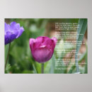 Search for poem photography Poems