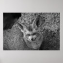 Search for whisperer posters Nature