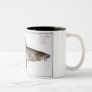 Search for plate mugs Insects