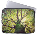 Search for roots electronics Landscape