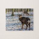 Search for deer puzzles Woods