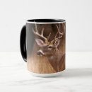 Search for white tail deer mugs Antlers