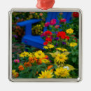 Search for geranium christmas tree decorations Colourful