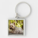Search for purebred dogs key rings Looking at camera