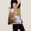 Search for lying bags Baby animals