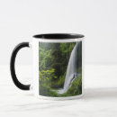 Search for forest waterfall mugs State park