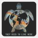 Search for turtle lover stickers Turtles