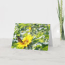 Search for with sunflower sympathy cards Butterfly