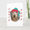 Search for dachsie cards Dogs
