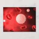 Search for immune system postcards Close up