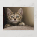 Search for feature postcards Cute